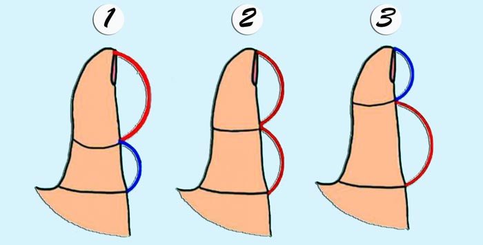 Dime cómo es tu pulgar y te diré cómo te irá en el amor - Destaca2